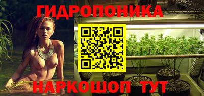 стаф Лесосибирск